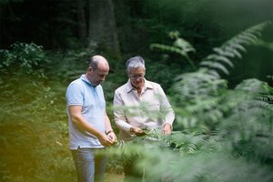 Therapiegespräch zu verschiedenen Krankheitsbildern Psychologisches Therapiegespräch: Patient und Therapeut im Gespräch, dahinter Bäume